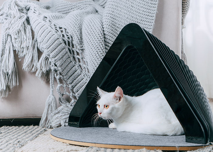 Accordion Pyramid-shape Paper Tent for Cats