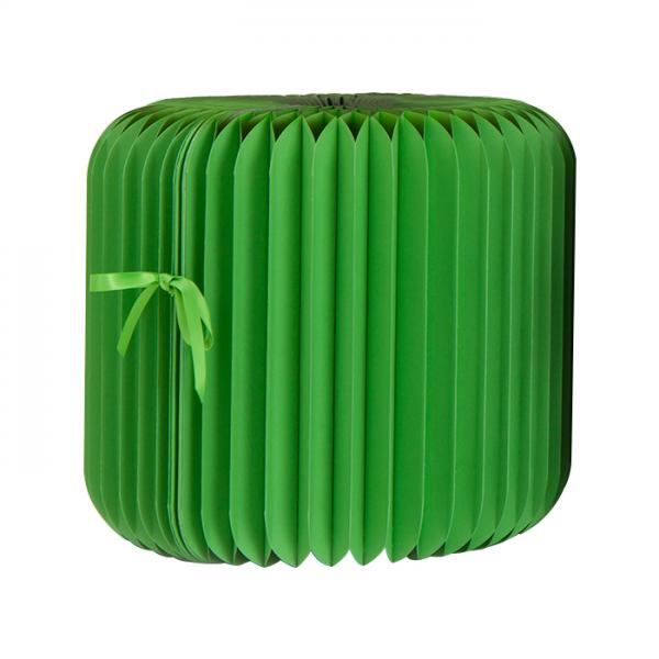 Expandable Green Paper Stool