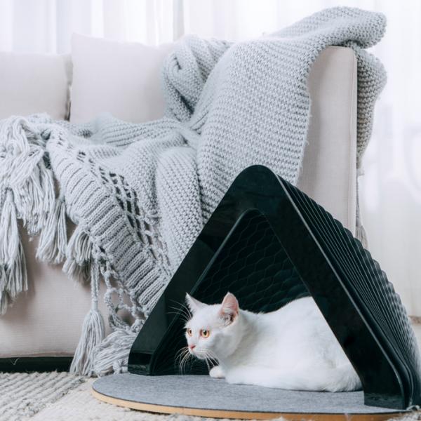 Expandable Black Cat House
